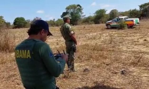 Operação do Ibama combate desmatamento ilegal na Mata Atlântica em cidades do Norte de Minas