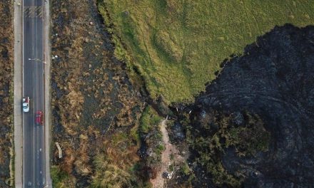 Bombeiros atendem 228 ocorrências nas últimas 24 horas em MG