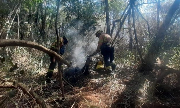 Bombeiros recebem quase mil chamados para combater queimadas só nos últimos três dias em Minas