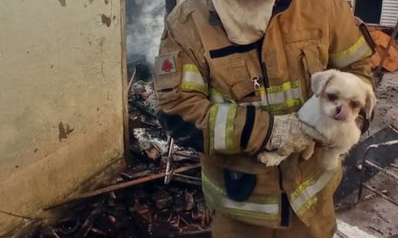 Bombeiros salvam pai com três filhos e cachorro de incêndio em residência em Varginha