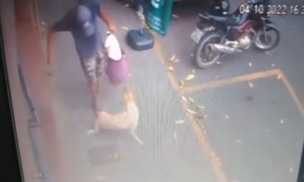 Imagens de câmera flagram homem chutando cachorro na Barão de Piumhi