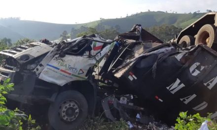 Caminhão com materiais recicláveis capota e motorista fica gravemente ferido na BR-459