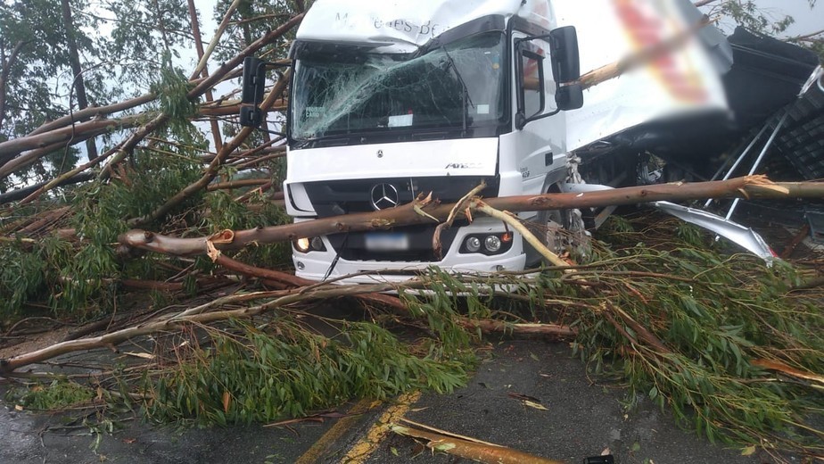 Eucalipto cai sobre caminhão na BR-265 após chuva em Ijaci
