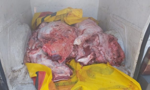 Dupla flagrada transportando 400 kg de carne de forma irregular é detida em Carmo do Cajuru