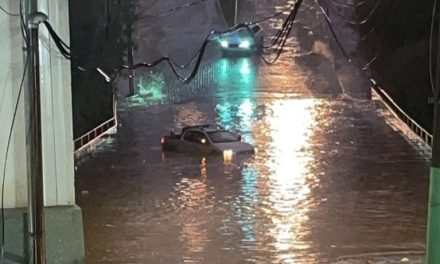 Chuva forte derruba árvores e carro fica ilhado em Piumhi