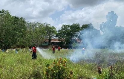 Família solta fogos de artifício em enterro e gera incêndio em cemitério