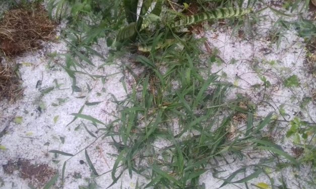 Minas Gerais tem 154 cidades em alerta para chuva de granizo nesta segunda-feira; Formiga está na lista