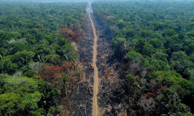 Após reativação do Fundo Amazônia, Noruega diz que R$ 3 bilhões já podem ser investidos