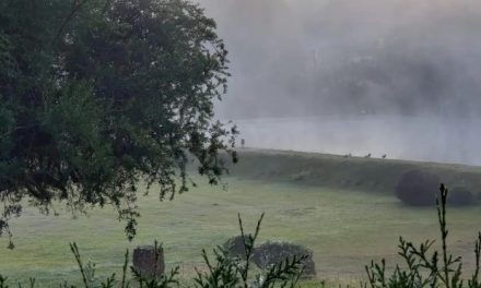 Minas tem previsão de frio intenso na próxima semana