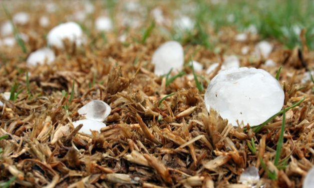 Tempestades com risco de granizo podem atingir mais de 600 cidades de Minas até terça; Formiga está na lista