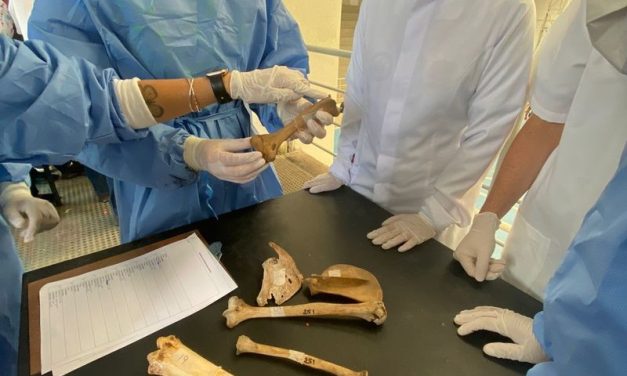 Polícia Civil de Minas contará com perícia especializada em medicina veterinária