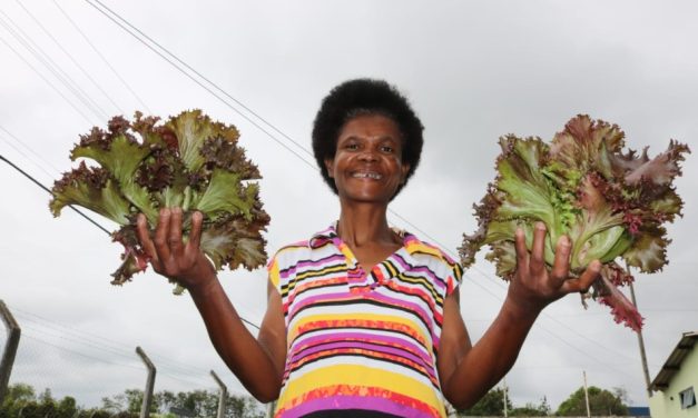 Projeto ‘Horta Urbana’ será apresentado em Seminário Mineiro de Bancos de Alimentos