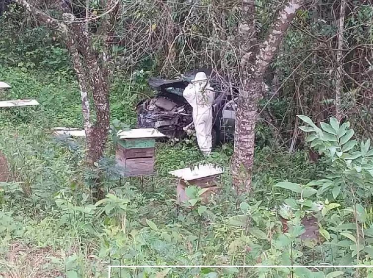 Carro capota em criação de abelhas e feridos são salvos