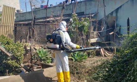 4º LIRAa aponta médio risco de epidemia de dengue em Formiga