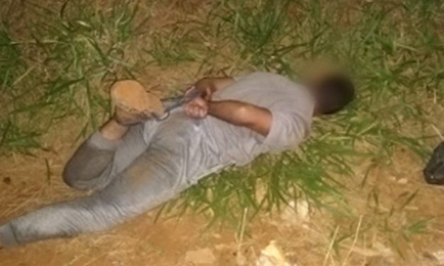 Funcionários de fazenda em Bom Despacho impedem roubo de trator, imobilizam suspeito e outro é ferido