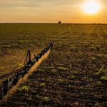 Em dez meses quase R$300 bi foram desembolsados em crédito rural