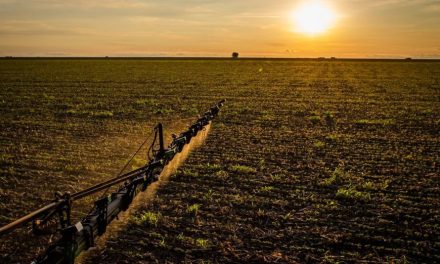 IBGE: 32% dos solos do país têm potencial natural para a agricultura