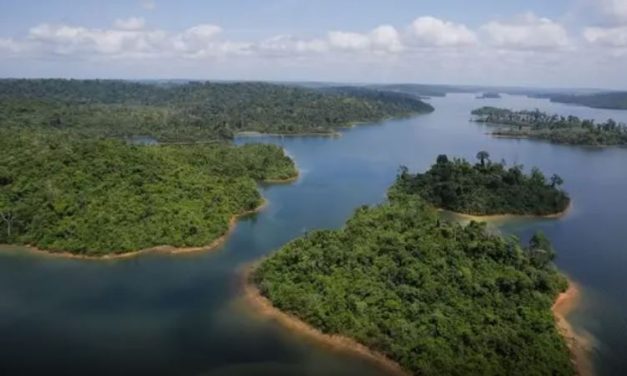 Ibama é investigado por garimpo ilegal de mercúrio na Amazônia