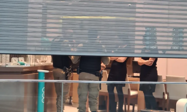 Em quatro minutos, suspeito entra em joalheria e leva 232 peças em shopping de BH