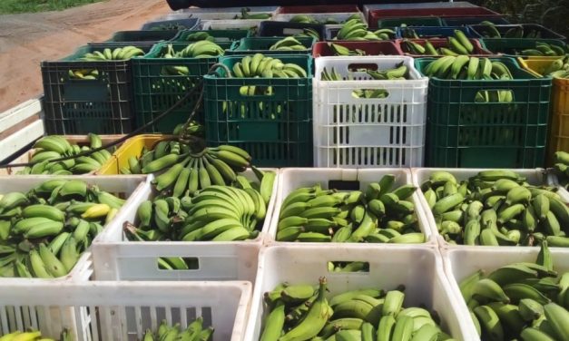 Banco de Alimentos ultrapassa 216 toneladas de doações em 2022