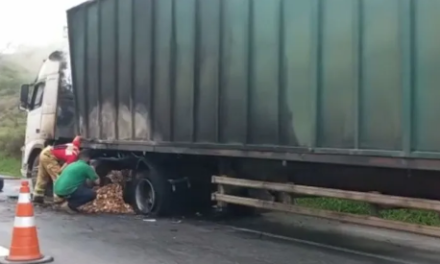 Carreta carregada com 29 toneladas de madeira pega fogo na BR-262, em Pará de Minas