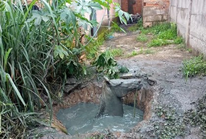 Cavalo cai em fossa enquanto pastava em quintal de casa em Divinópolis