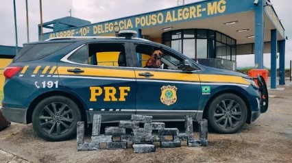 Jovem é presa com 32 quilos de maconha escondidos dentro de malas em ônibus na Fernão Dias