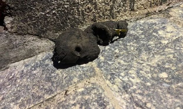 ‘Feto’ encontrado na rua em Santo Antônio do Monte é um boneco de borracha, diz Polícia Civil