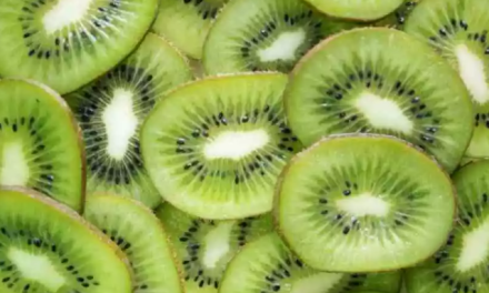 Suco de kiwi inibe câncer de pulmão em camundongos, mostra novo estudo