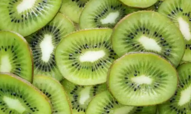Suco de kiwi inibe câncer de pulmão em camundongos, mostra novo estudo