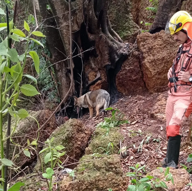 Cães farejadores ajudam a encontrar corpo de jovem desaparecido há três meses em Patos de Minas