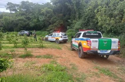 Homens são detidos por captura ilegal de pássaros da fauna silvestre e maus-tratos em Candeias