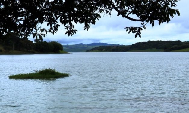 Lago de Furnas tem melhor nível para janeiro dos últimos 10 anos, aponta ONS