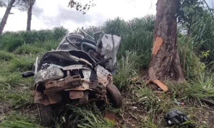 Homem morre após capotamento na BR-262, em Pará de Minas