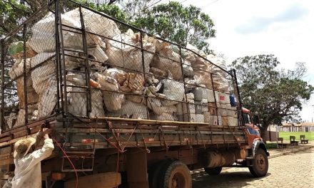 Emater-MG mobiliza produtores para devolução de embalagens de agrotóxicos