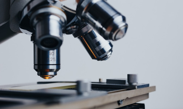 Cientistas identificam proteína que pode bloquear inflamação nas doenças autoimunes