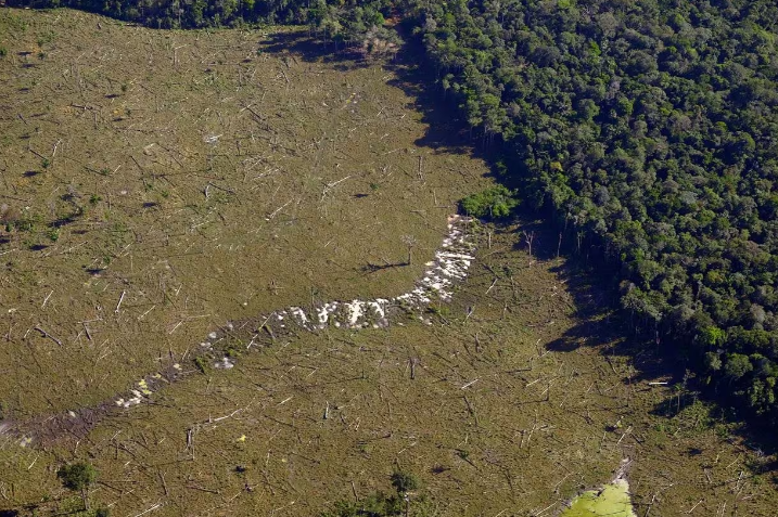 Alemanha firma acordo e irá doar 35 milhões de euros para Fundo Amazônia