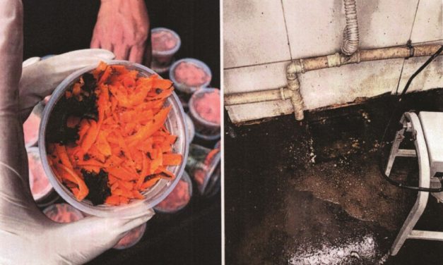 Estabelecimento que fornece alimentos para o presídio de Arcos é interditado pela Vigilância Sanitária