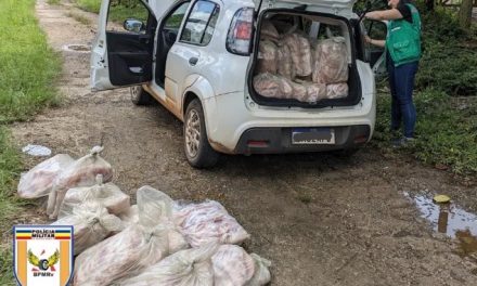 Homem é preso por transportar 480 kg de filé de tilápia sem refrigeração em MG