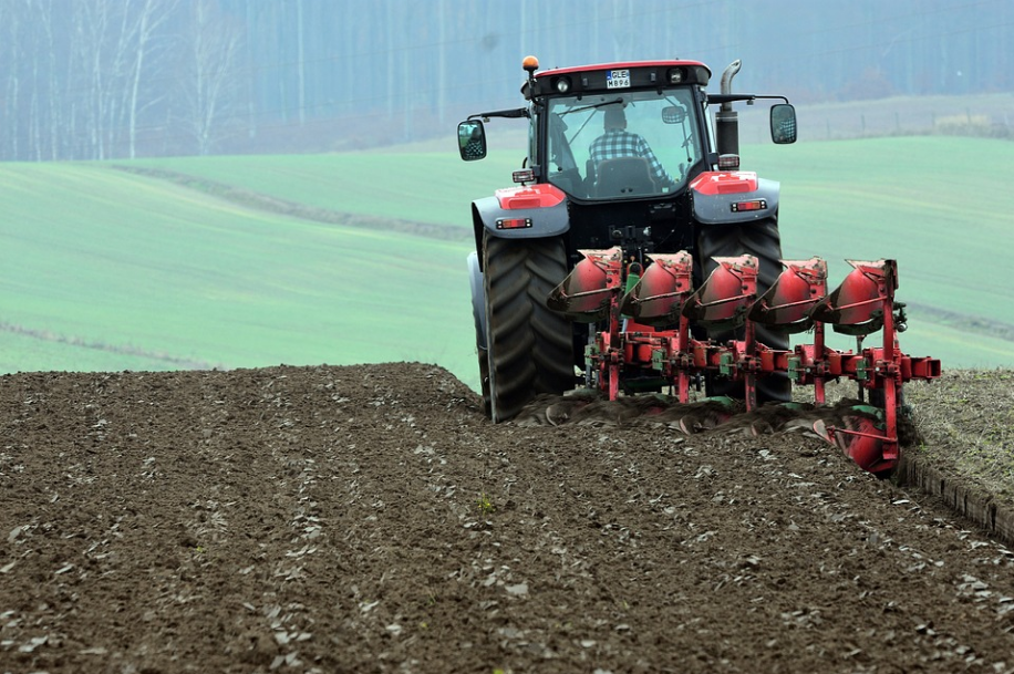 Doações do Idene transformam a produção de pequenos agricultores