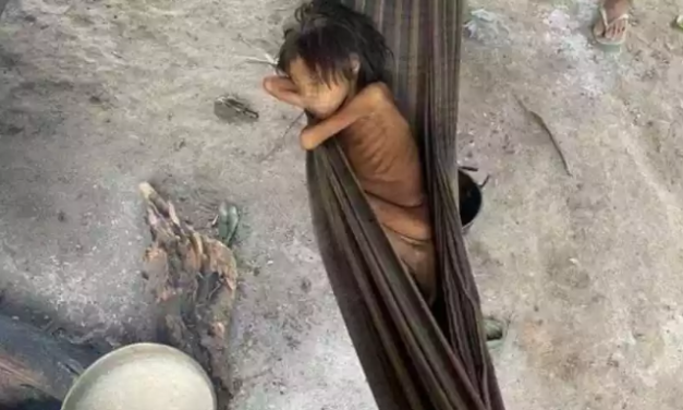 Comunidade científica se coloca à disposição do governo para solucionar crise em terras Yanomami