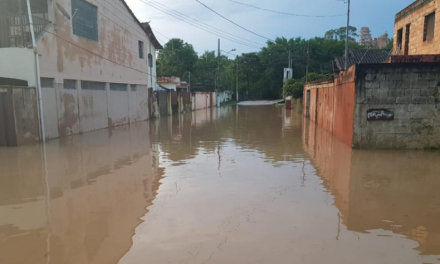 Sobe para 22 número de mortos durante período chuvoso em Minas