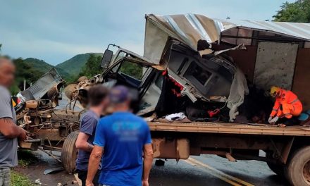 Grave acidente envolvendo caminhão baú e carreta deixa vítima fatal, entre Piumhi e Pimenta