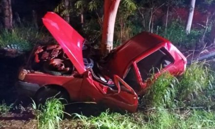 Homem morre após carro sair da pista e bater em eucalipto no Sul de Minas