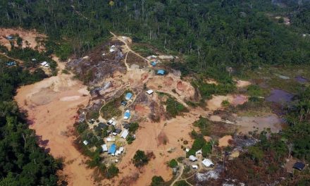 Amazônia: garimpo ilegal em terras indígenas subiu 1.217% em 35 anos