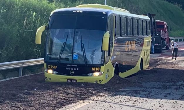 Ônibus de turismo usa a área de escape do Anel Rodoviário em BH