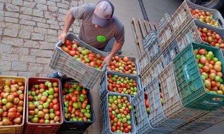 Banco de Alimentos de Formiga recebe doação da Associação de Tomatecultores