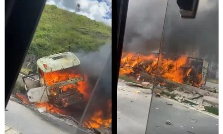 Carreta com alimentos pega fogo após tombar e bater em canteiro central da Fernão Dias, em MG