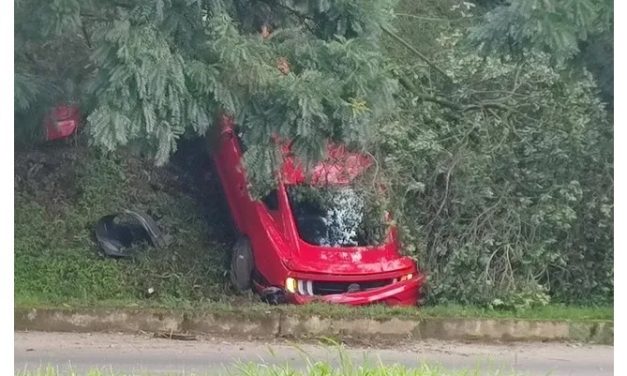 Motorista perde controle, sobe em barranco e bate carro de luxo em árvore em Poços de Caldas, MG