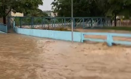 Rio mata cavalo transborda após forte chuva em Formiga